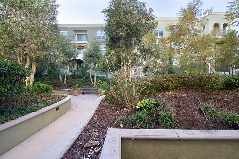 Courtyard picture - 600 S Abel St, Unit 223, Milpitas 95035