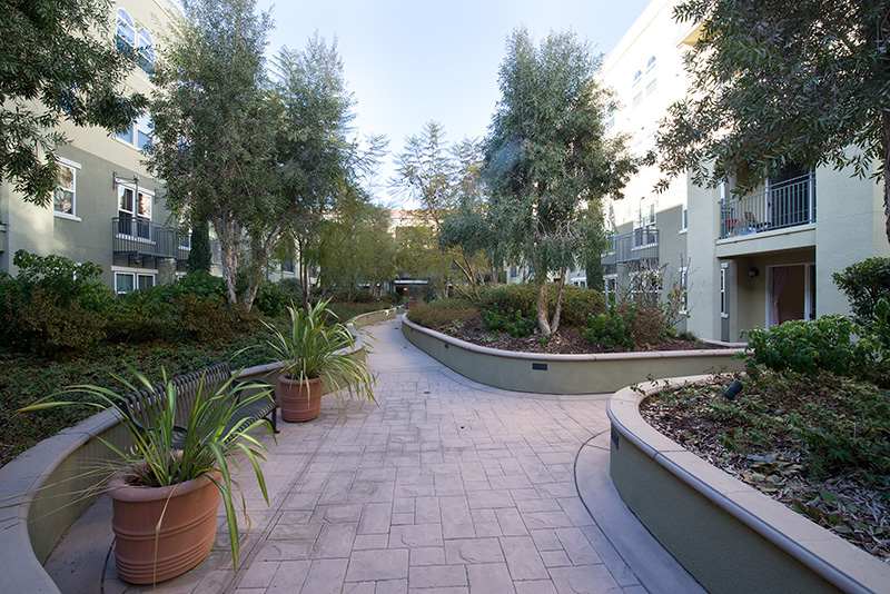 Courtyard picture - 600 S Abel St, Unit 223, Milpitas 95035
