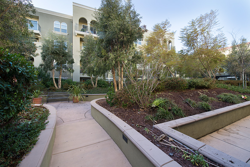Courtyard picture - 600 S Abel St, Unit 223, Milpitas 95035