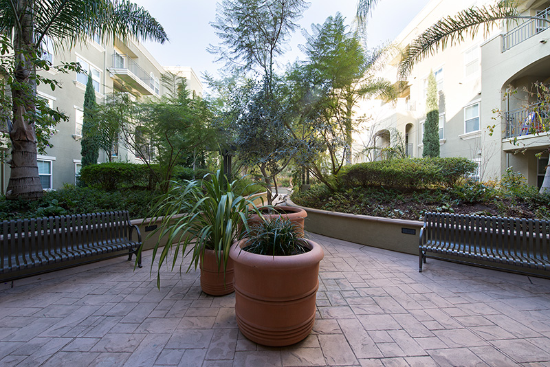 Courtyard picture - 600 S Abel St, Unit 223, Milpitas 95035