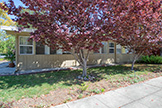 Side Yard