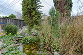 3493 Golden State Dr, Santa Clara 95051 - Pond (A)