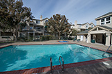 2111 Hastings Shore Ln, Redwood Shores 94065 - Pool (A)