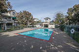 2111 Hastings Shore Ln, Redwood Shores 94065 - Pool (B)