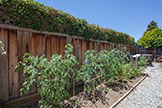 1705 Morgan St, Mountain View 94043 - Side Yard (A)