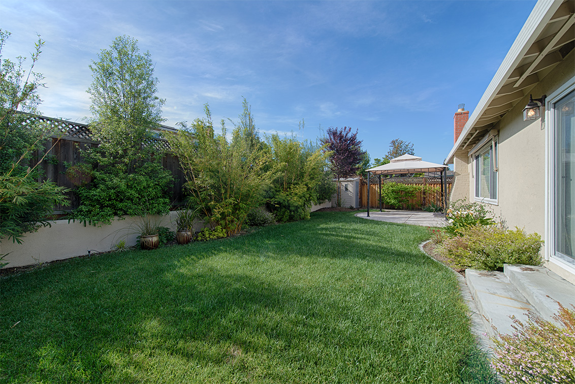 Backyard (A) Picture - 651 Spruce Dr, Sunnyvale 94086 Backyard (A) picture - 651 Spruce Dr, Sunnyvale 94086