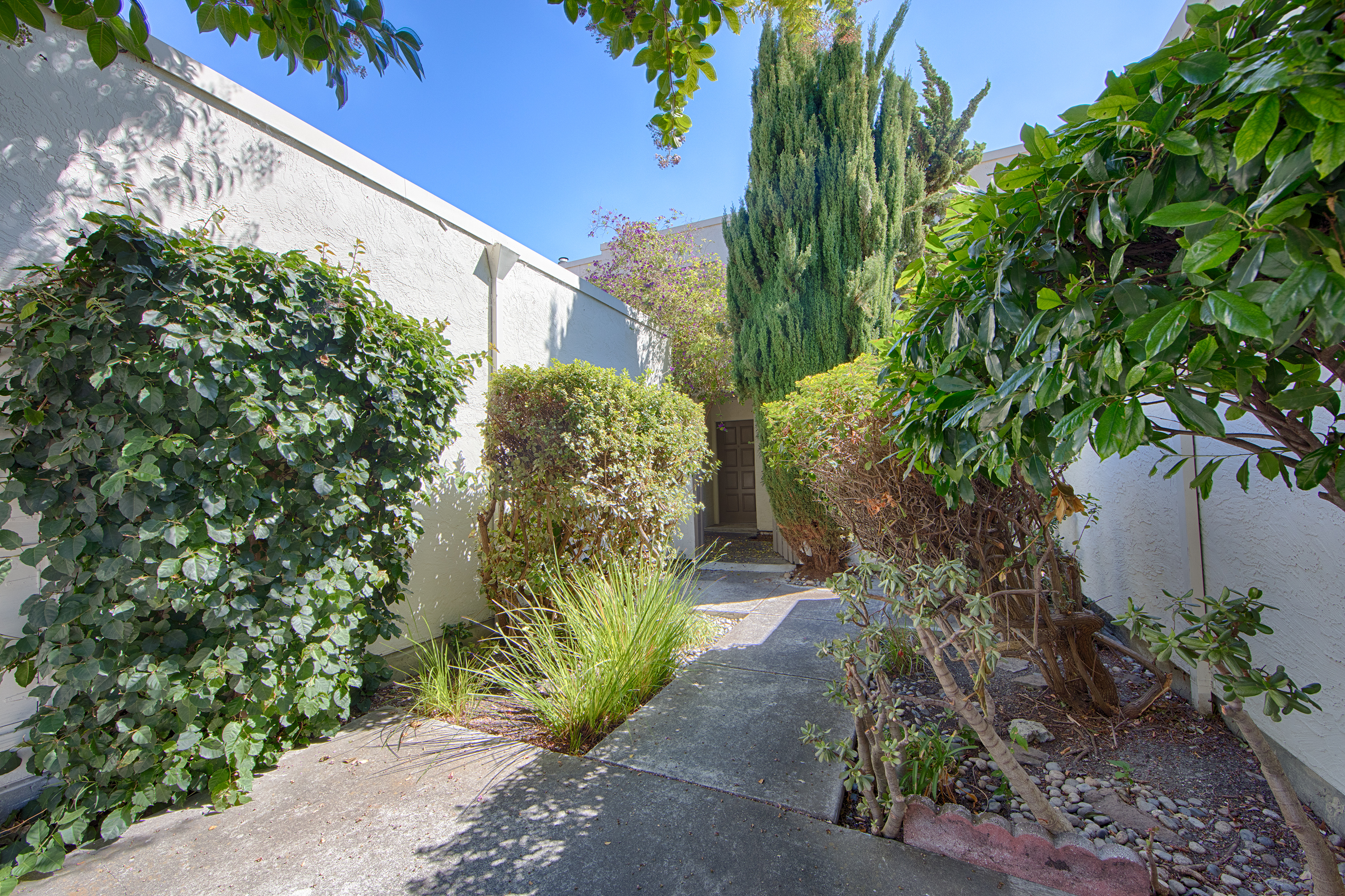 Sierra Vista Ave - Rengstorff Neighborhood