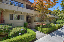 280 waverley st #8, Palo Alto