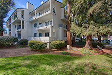 4685 albany cir #124, San Jose