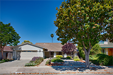 6956 bolado dr, San Jose