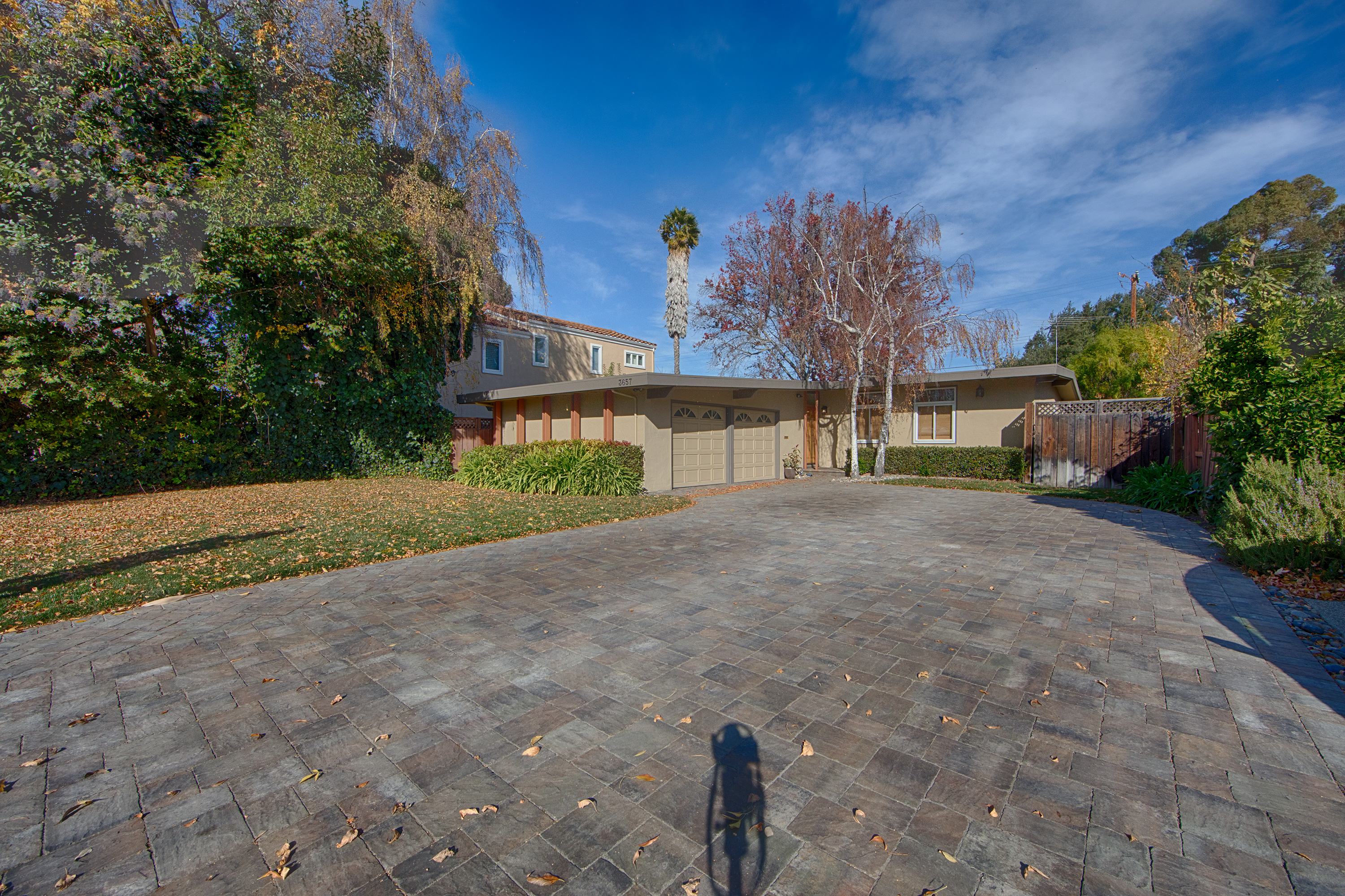 Louis Rd - South Palo Alto Neighborhood