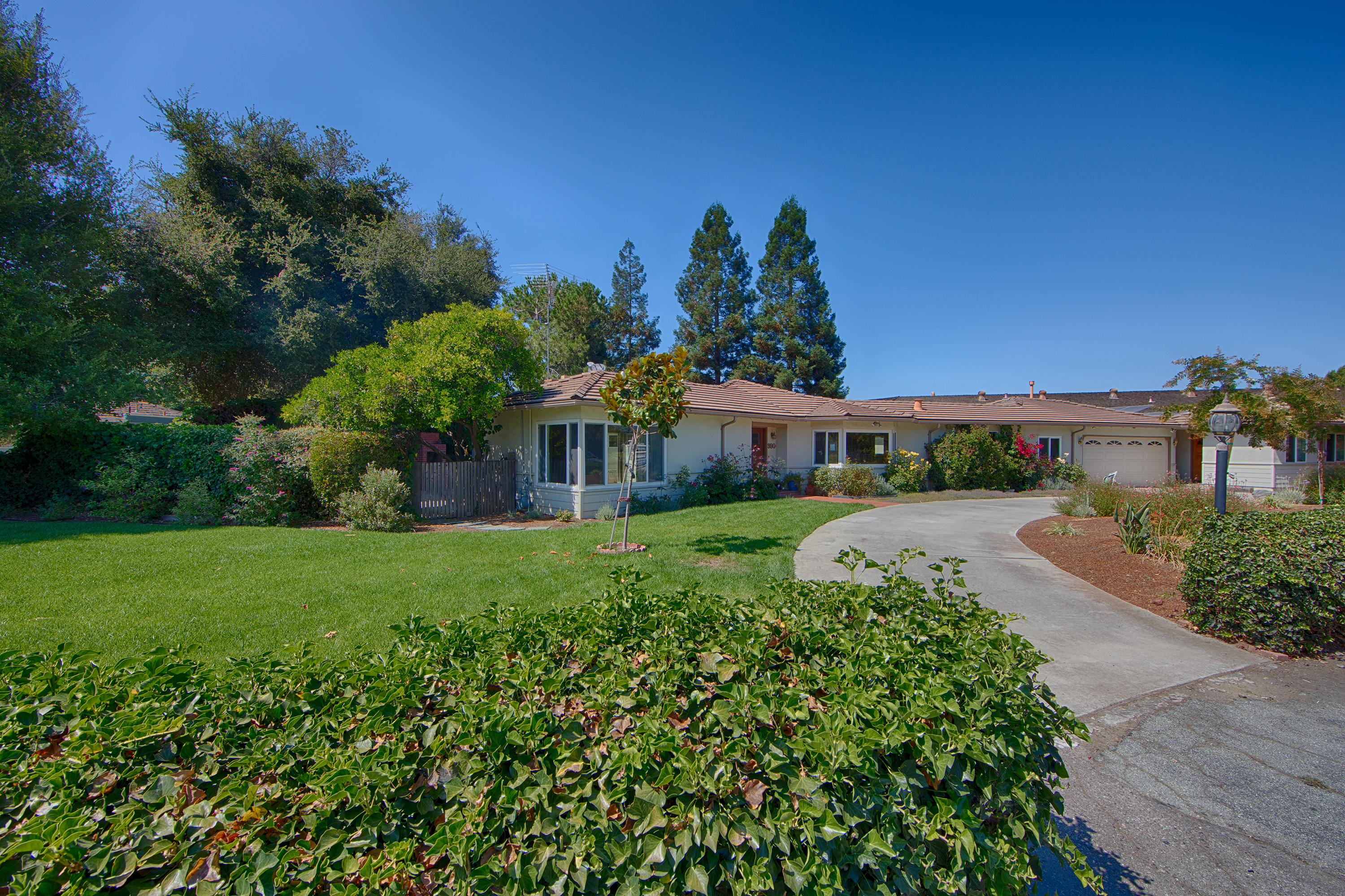Rose Ave - Miramonte Neighborhood
