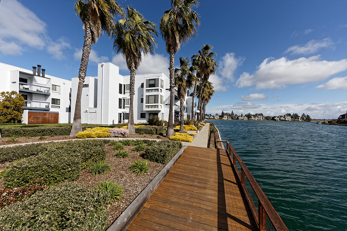 Lagoon (B) picture - 910 Beach Park Blvd 100, Foster City 94404
