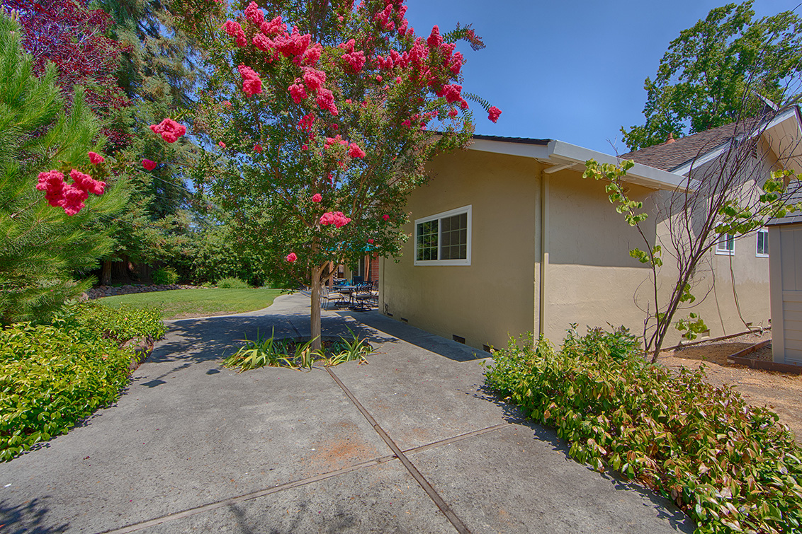 Backyard (A) picture - 105 Belglen Way, Los Gatos 95032