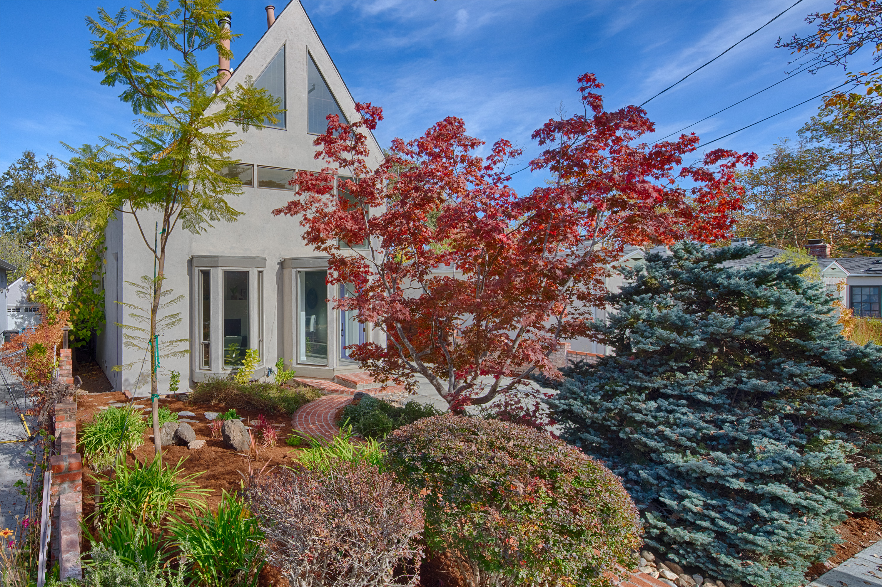 Bowdoin St - College Terrace Neighborhood
