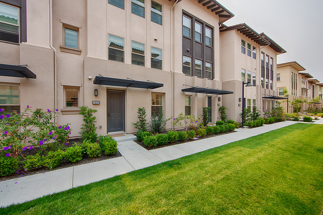 Harebell Pl - Santa Clara