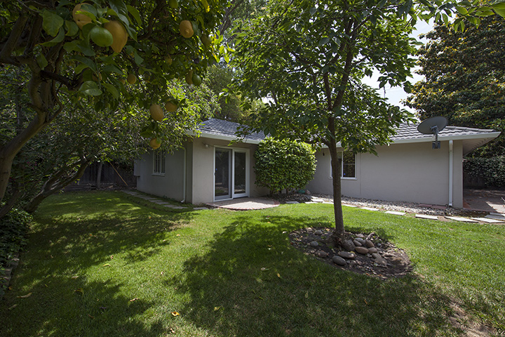 Backyard (B) picture - 554 Hilbar Ln, Palo Alto 94303