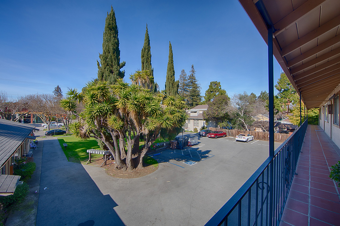 Balcony View (A) Picture - 261 Oak St, Mountain View 94041 Balcony View (A) picture - 261 Oak St, Mountain View 94041