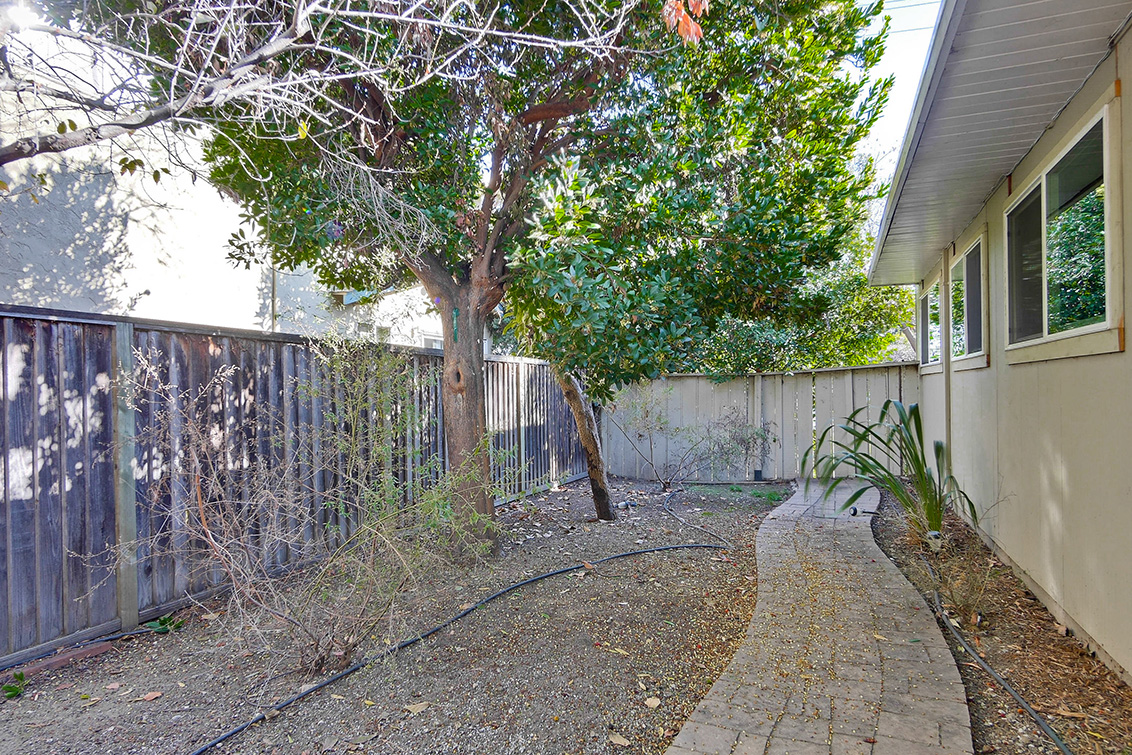 Backyard (G) picture - 1401 S Wolfe Rd, Sunnyvale 94087