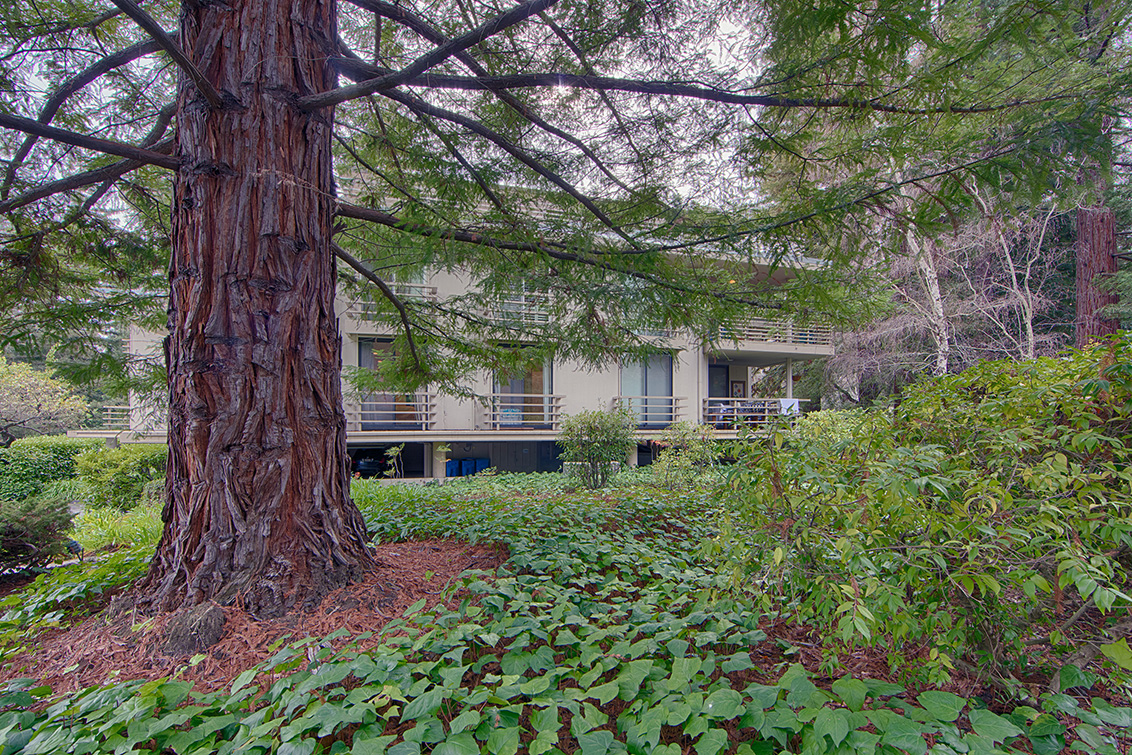 Sharon Park Dr 1100 2 (C) picture - 1100 Sharon Park Dr 2, Menlo Park 94025