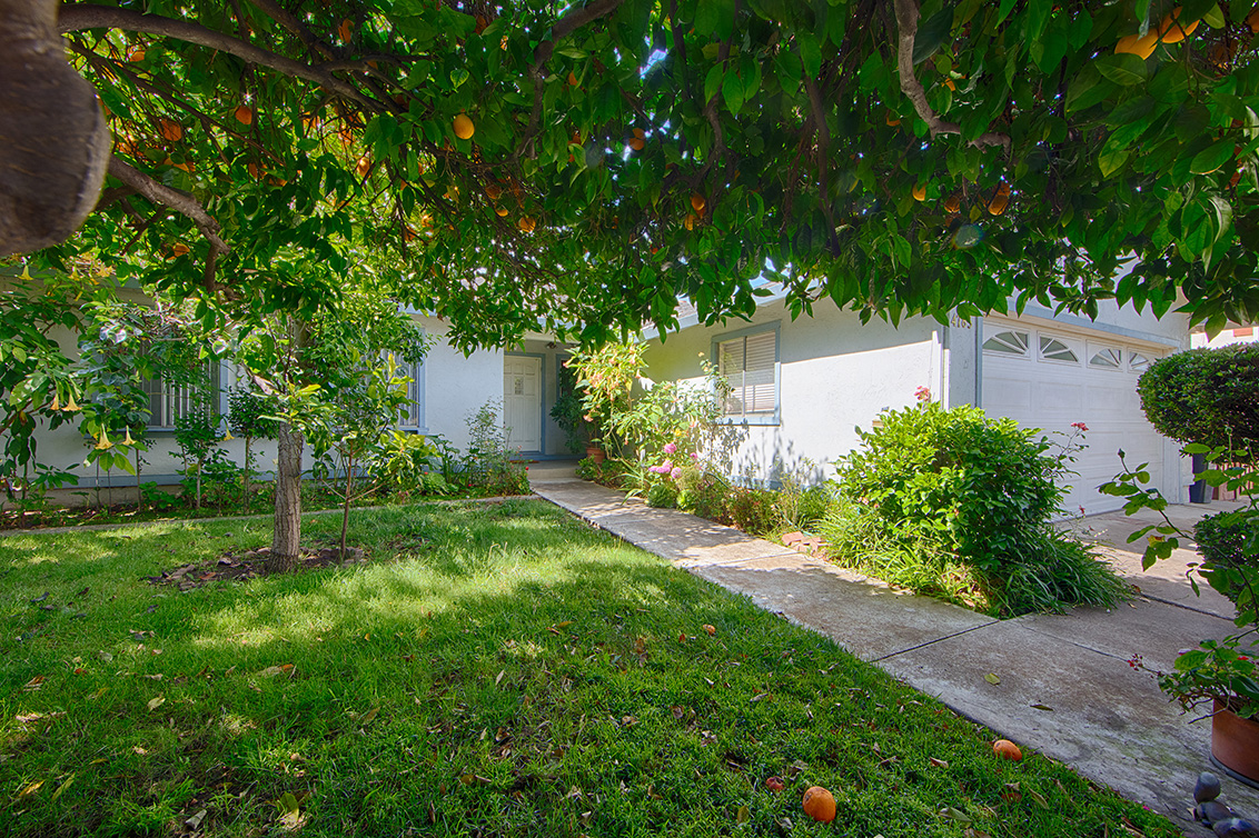 Corrales Dr 4785 (C) Picture - 4785 Corrales Dr, San Jose 95136 Corrales Dr 4785 (C) picture - 4785 Corrales Dr, San Jose 95136