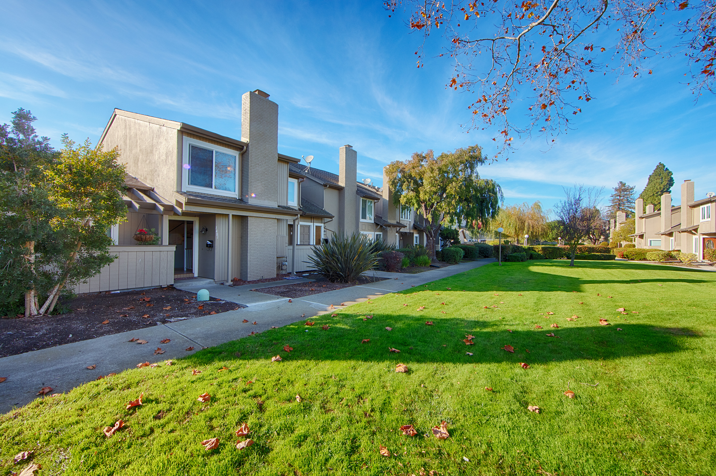 Marlin Ave - Foster City