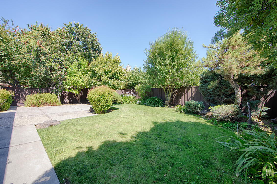 Backyard (B) Picture - 2152 Port Way, San Jose 95133 Backyard (B) picture - 2152 Port Way, San Jose 95133