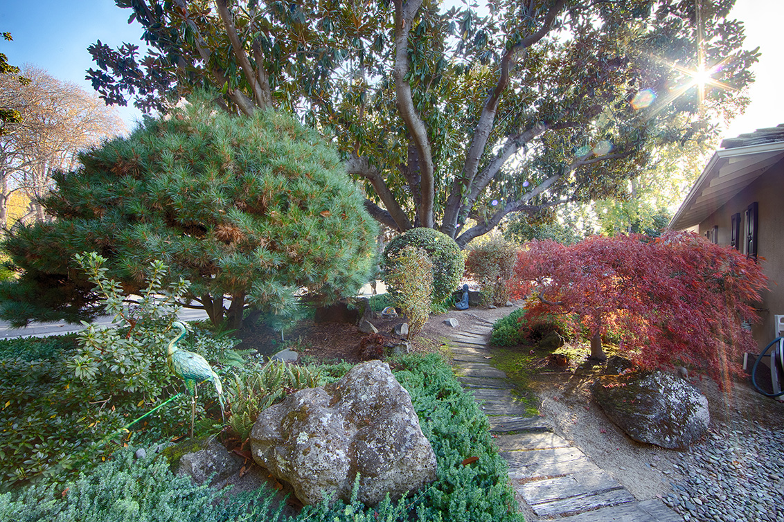 Front Yard (A) Picture - 520 Rhodes Dr, Palo Alto 94303 Front Yard (A) picture - 520 Rhodes Dr, Palo Alto 94303
