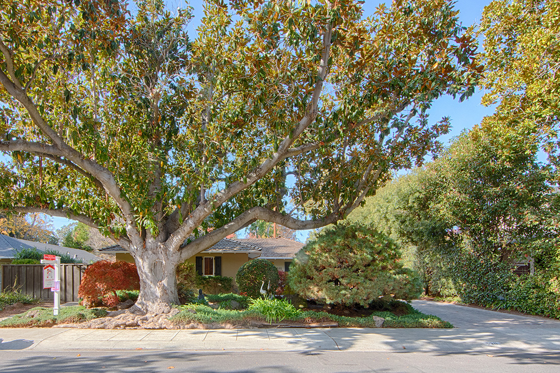 Rhodes Dr 520 (B) picture - 520 Rhodes Dr, Palo Alto 94303