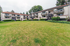709 San Conrado Ter #2, Sunnyvale