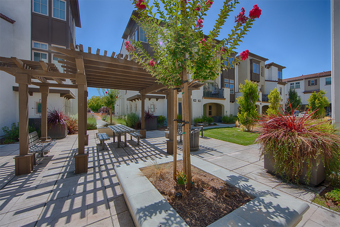 Bbq Area (B) picture - 139 Fairchild Dr, Mountain View 94043