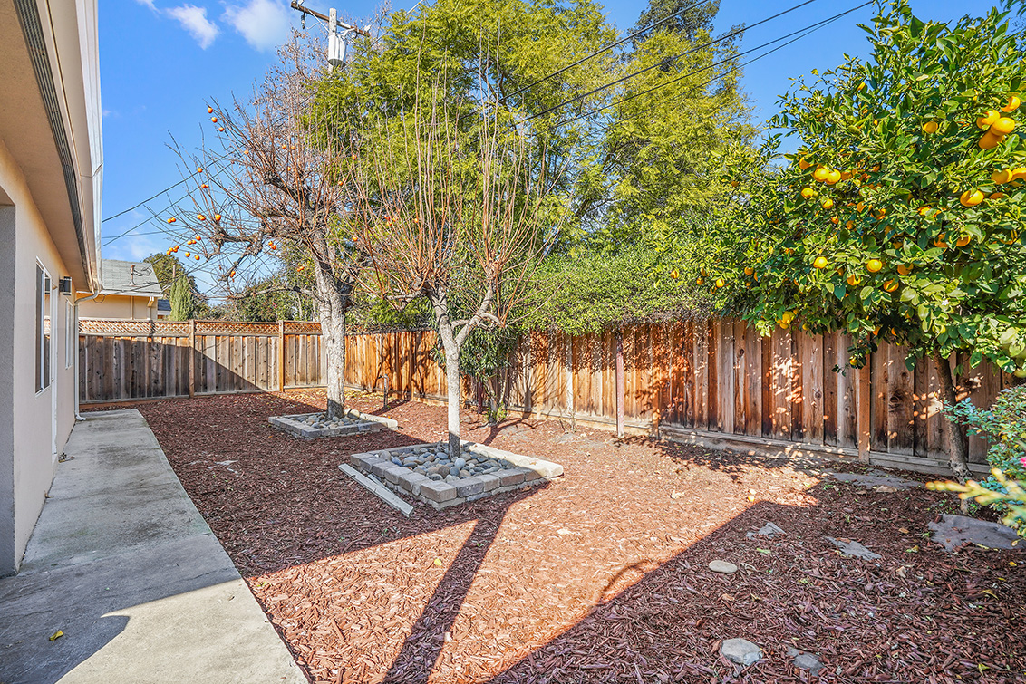 Backyard (A) picture - 1342 Forrestal Ave, San Jose 95110