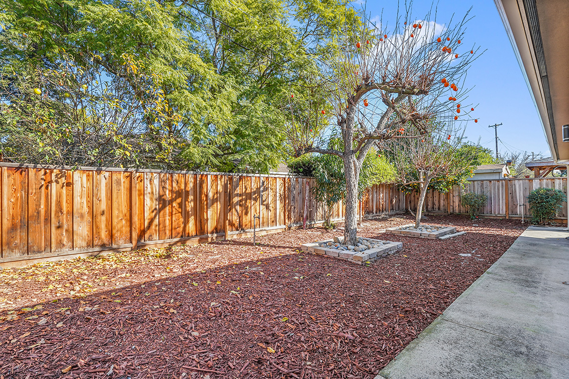 Backyard (B) picture - 1342 Forrestal Ave, San Jose 95110
