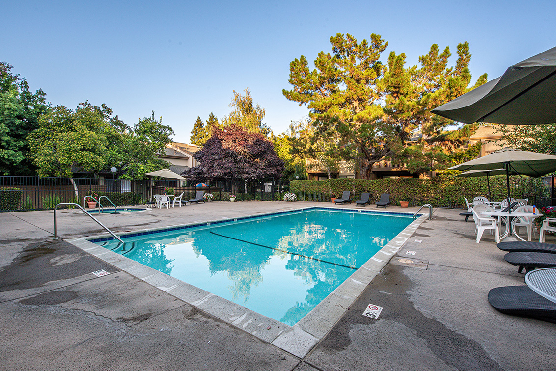 Swimming Pool (A) Picture - 49 Showers Dr F433, Mountain View 94040 Swimming Pool (A) picture - 49 Showers Dr F433, Mountain View 94040