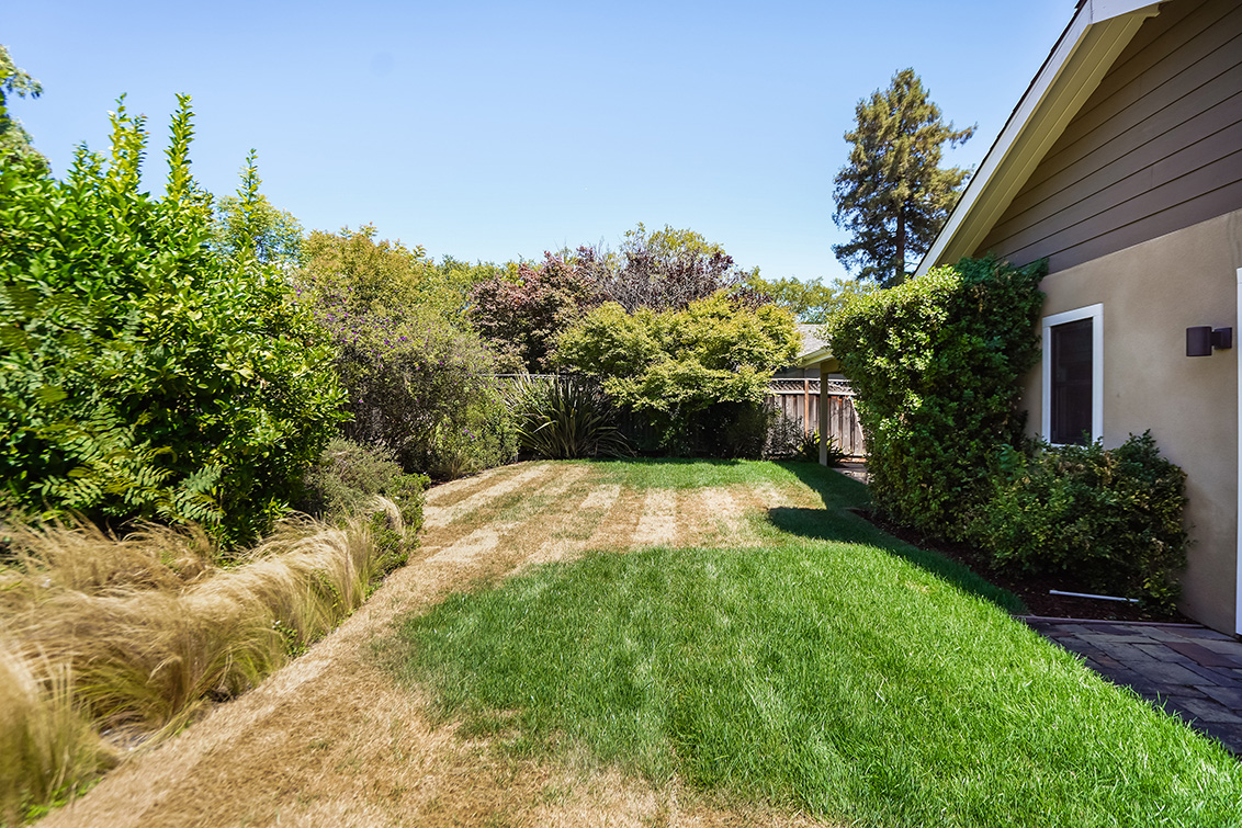 Backyard (A) Picture - 907 Clara Dr, Palo Alto 94303 Backyard (A) picture - 907 Clara Dr, Palo Alto 94303
