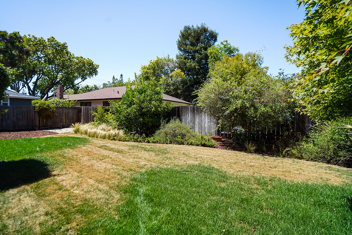 Backyard (C) Picture - 907 Clara Dr, Palo Alto 94303 Backyard (C) picture - 907 Clara Dr, Palo Alto 94303
