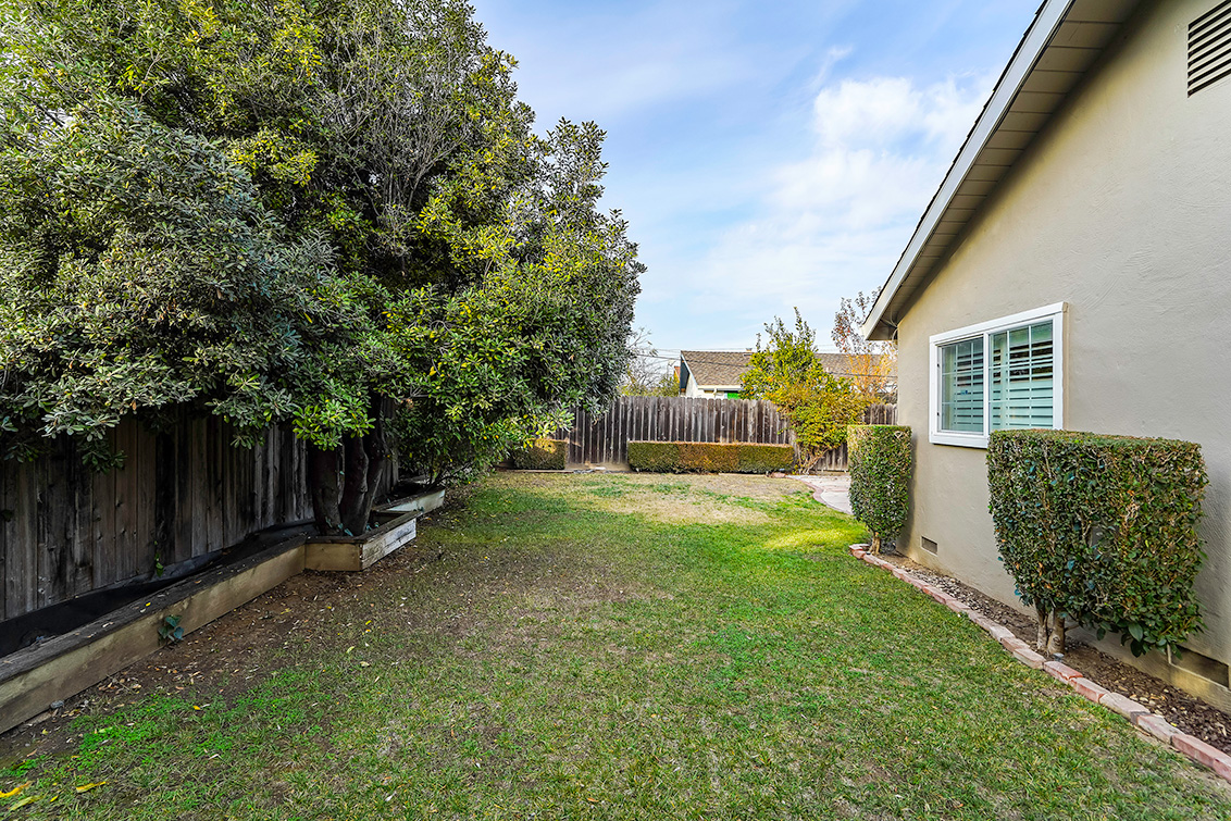 Backyard (C) picture - 1319 Wylie Way, San Jose 95130