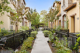 251 Honey Locust Ter, Sunnyvale 94086 - Front Sidewalk (A)