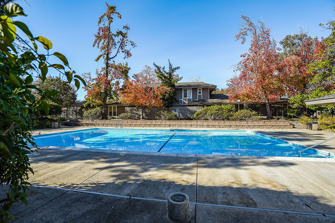 Swimming Pool  picture - 10572 White Fir Ct, Cupertino 95014