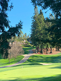 1100 Sharon Park Dr #2, Menlo Park 94025 - Golf (I)