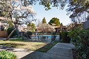 610 Gilbert Ave #14, Menlo Park 94025 - Swimming Pool (C)