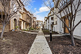 1132 Mallow Ter, San Jose 95133 - Front Sidewalk (A)