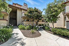20676 Celeste Cir, Cupertino