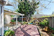 3810 Grove Ave, Palo Alto 94303 - Backyard (A)