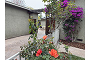 649 Minnesota Ave, San Jose 95125 - Patio Near Garage (B)