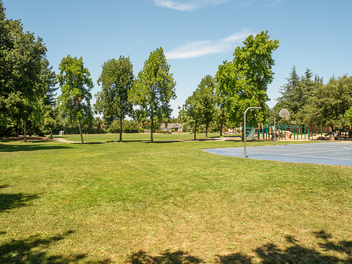 Grant Park - Los Altos, CA