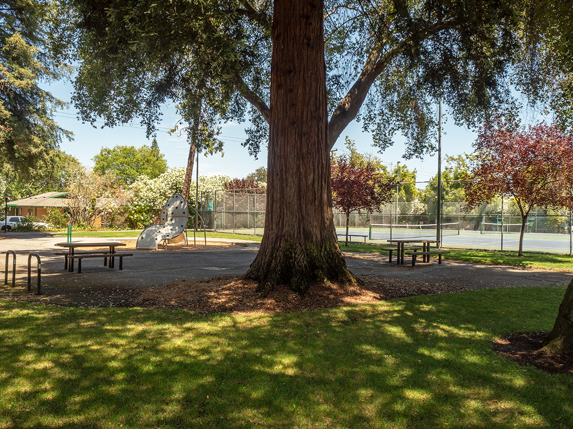 McKenzie Park - Los Altos, CA
