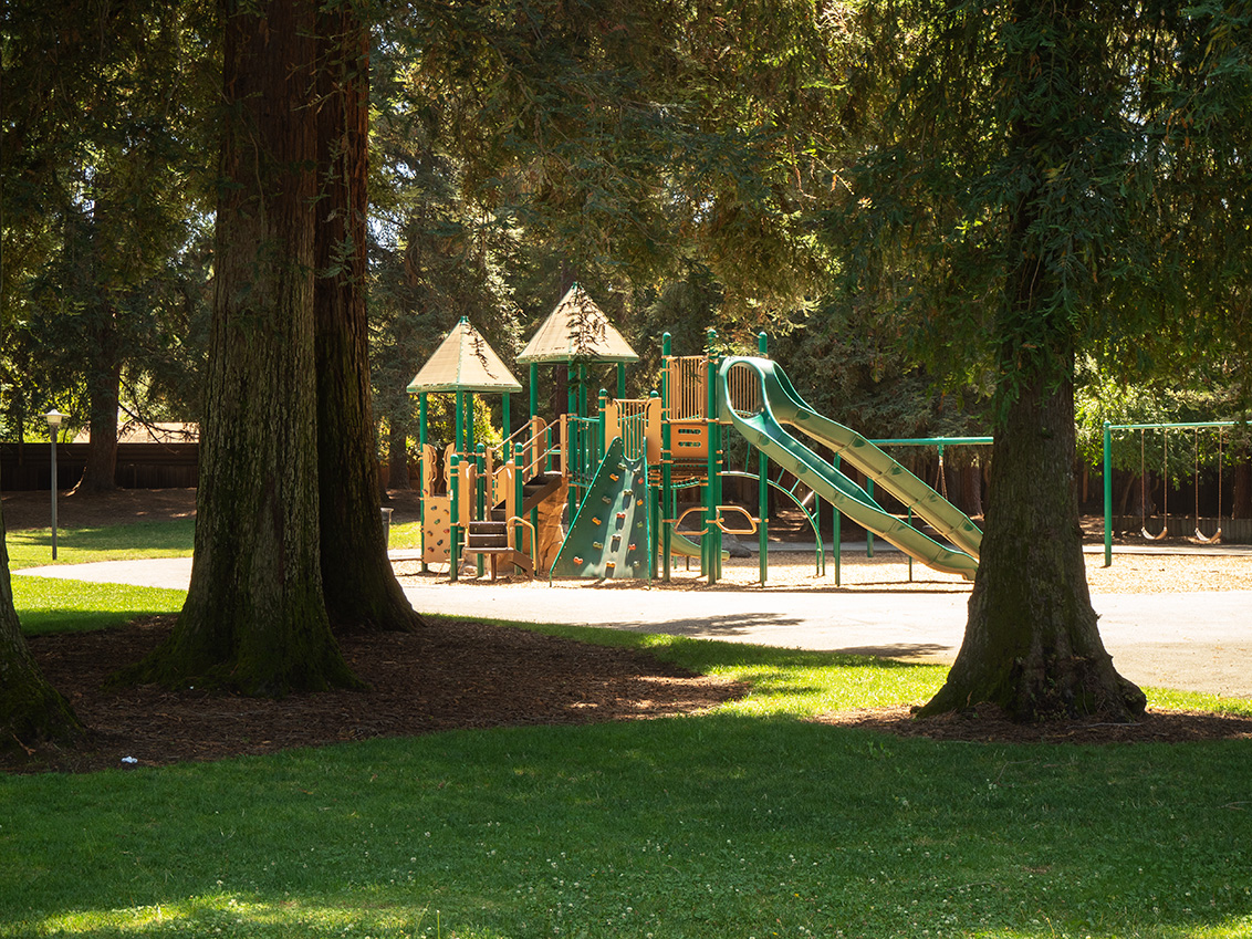 McKenzie Park - Los Altos, CA