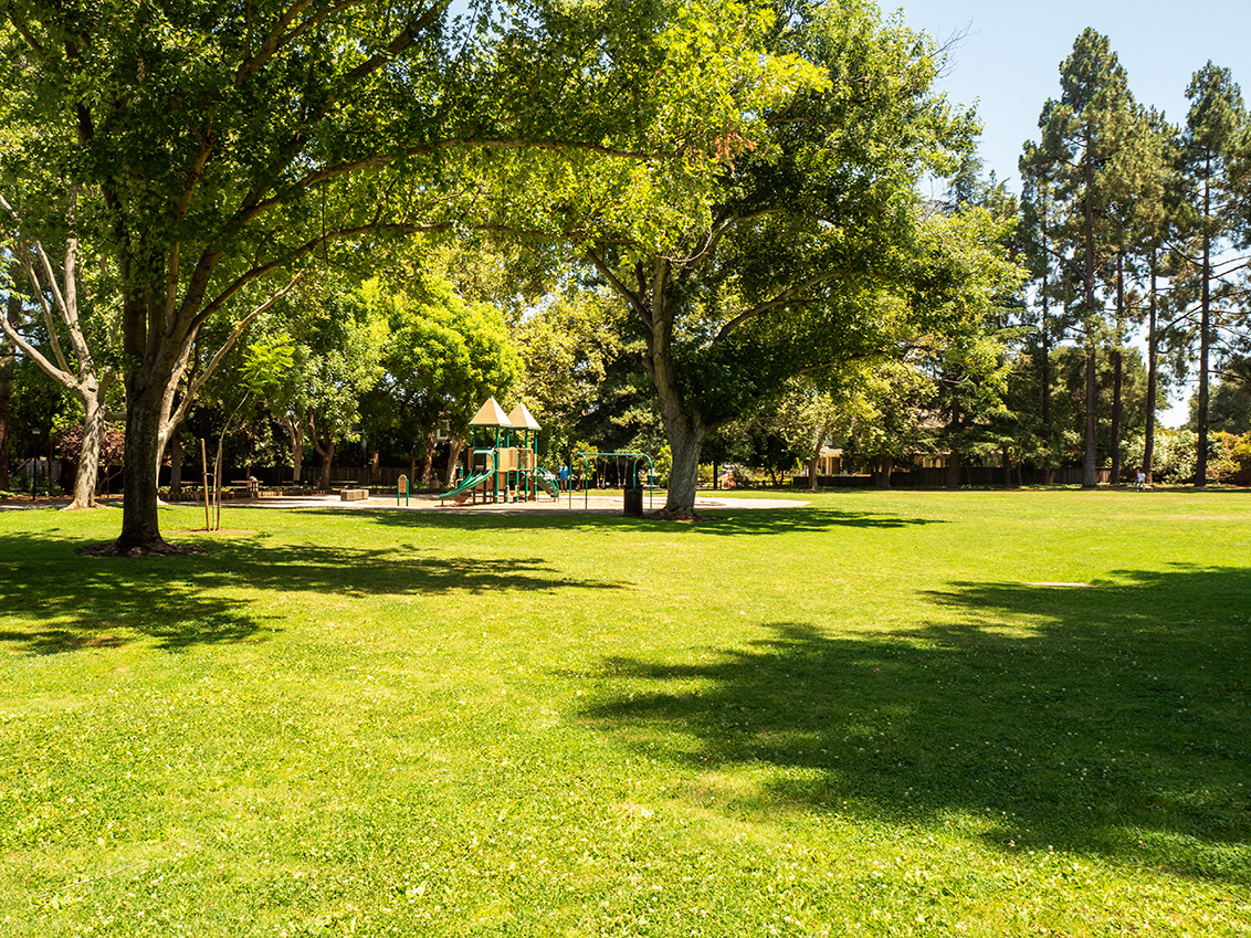 McKenzie Park - Los Altos, CA