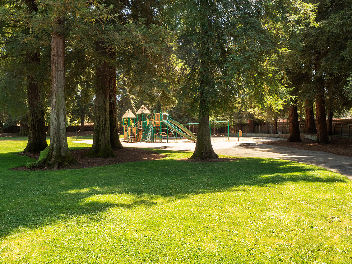 McKenzie Park - Los Altos, CA